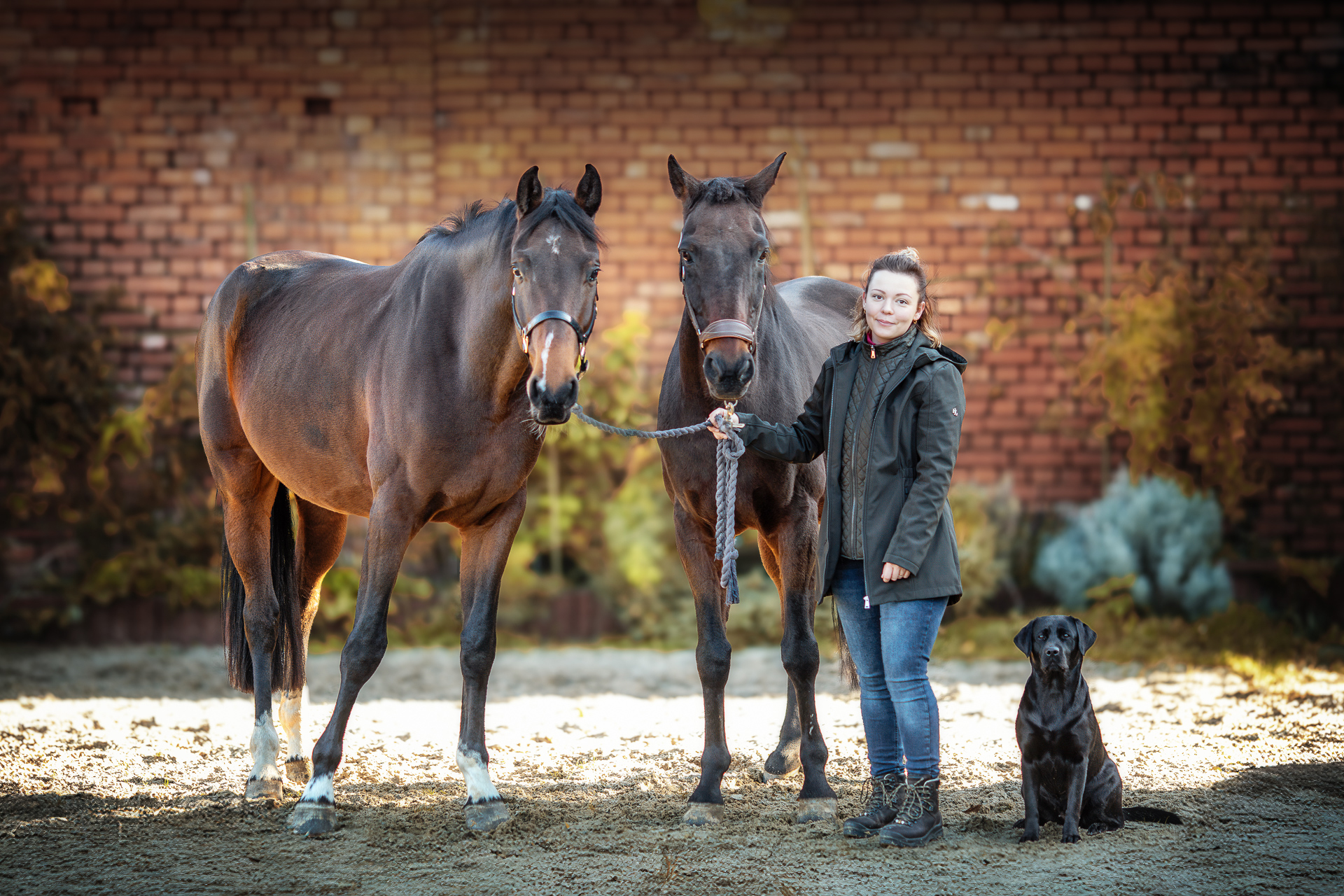 Physiotherapie & Osteopathie