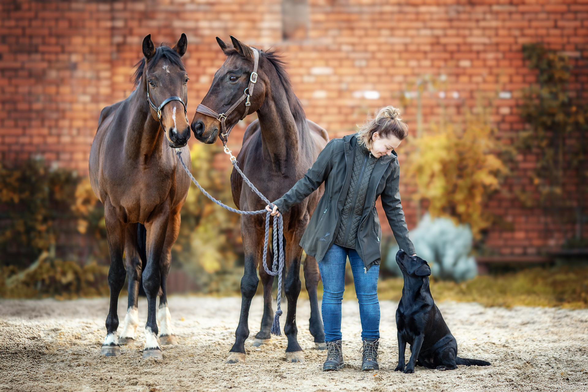 Physiotherapie & Osteopathie